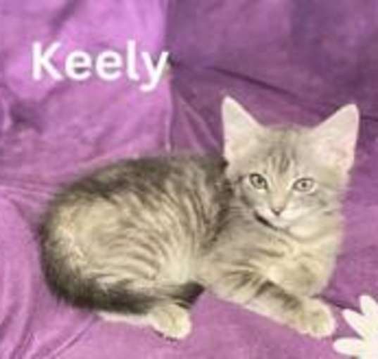 Photo of KEELY