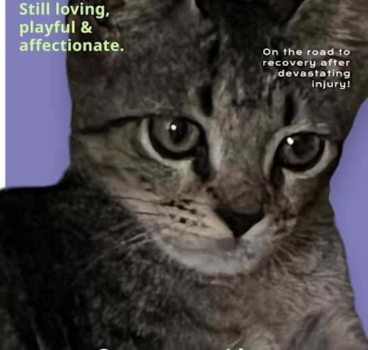 Photo of Axle