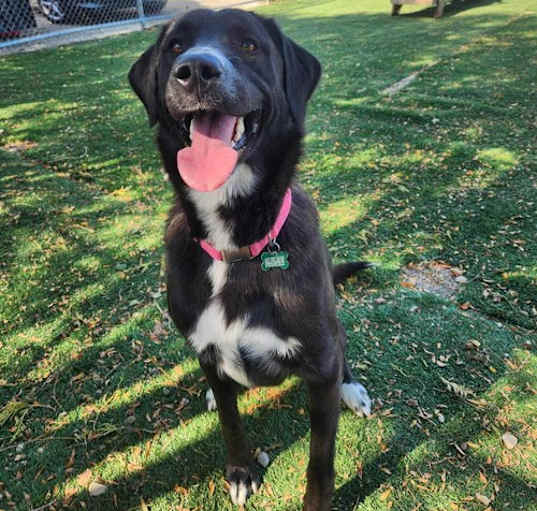 Photo of Greta