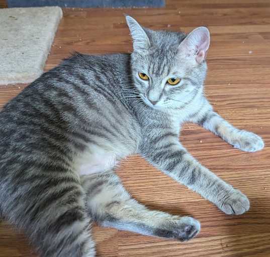 Photo of Sophia