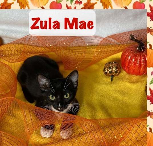 Photo of Zula Mae