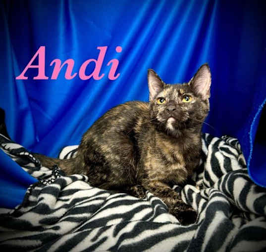 Photo of Andi