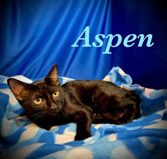 Photo of Aspen