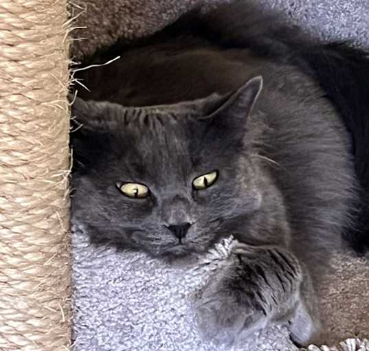 Photo of Storm