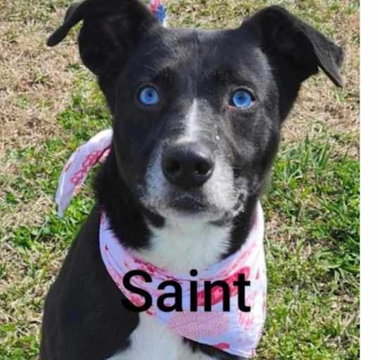 Photo of Saint