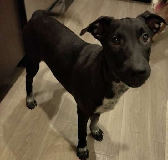 Photo of Stanley
