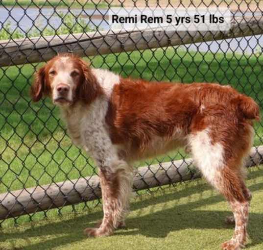 Photo of OK/Remi Rem