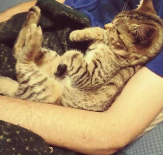 Photo of Binxie