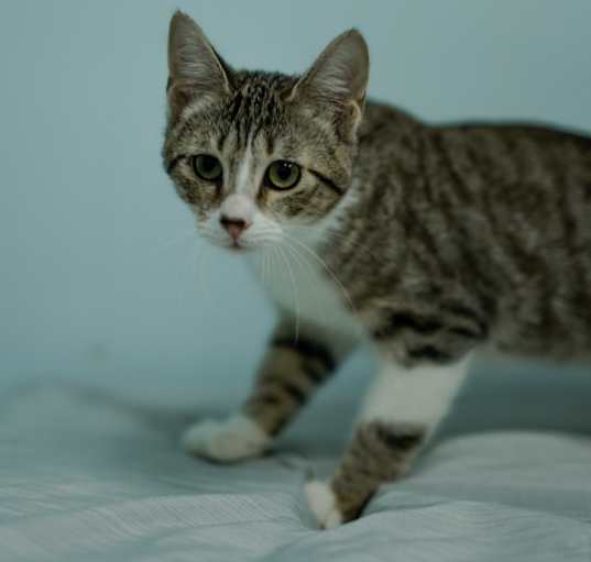 Photo of Clotho
