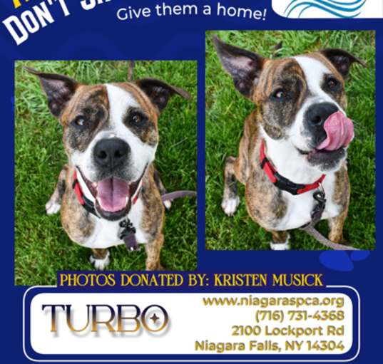 Photo of Turbo