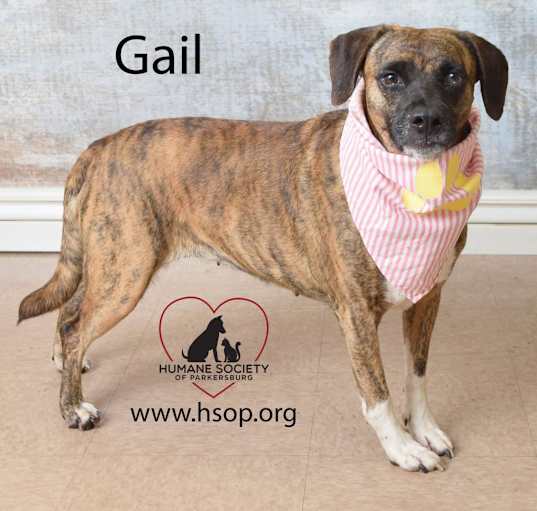 Photo of Gail