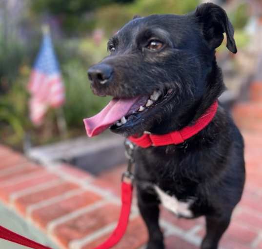 Photo of Toto