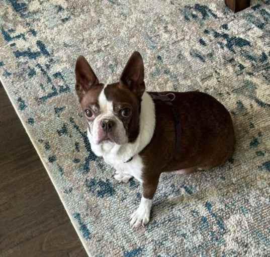 Photo of Miss Bella