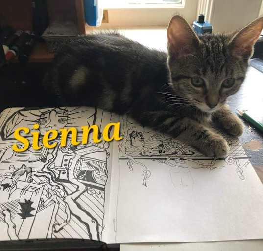 Photo of Sienna