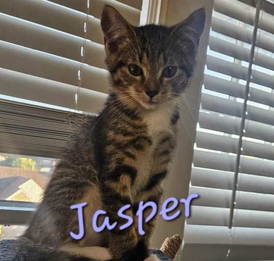 Photo of Jasper