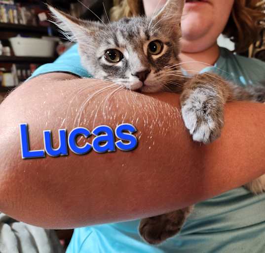 Photo of Lucas