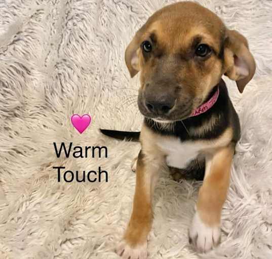 Photo of Warm Touch