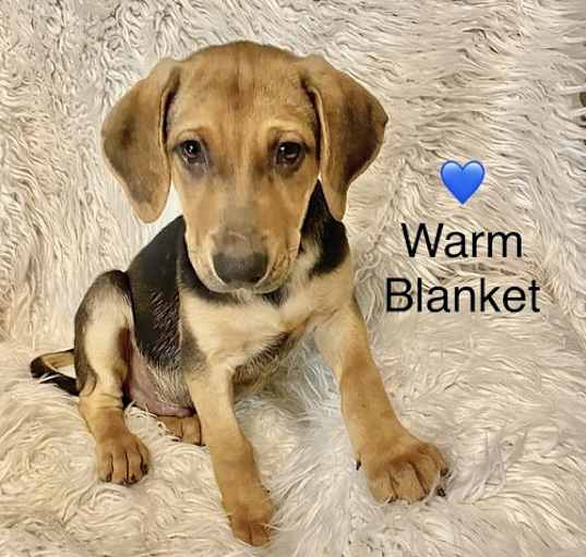 Photo of Warm Blanket