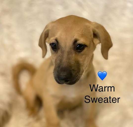 Photo of Warm Sweater