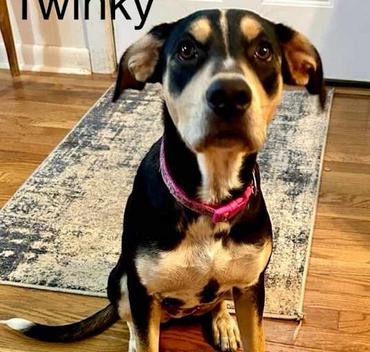 Photo of Twinky