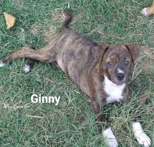 Photo of Ginny