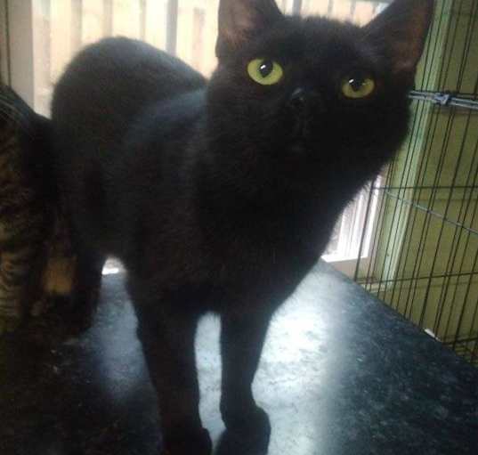Photo of Darla