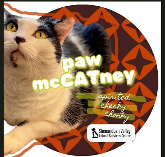 Photo of Paw McCatney