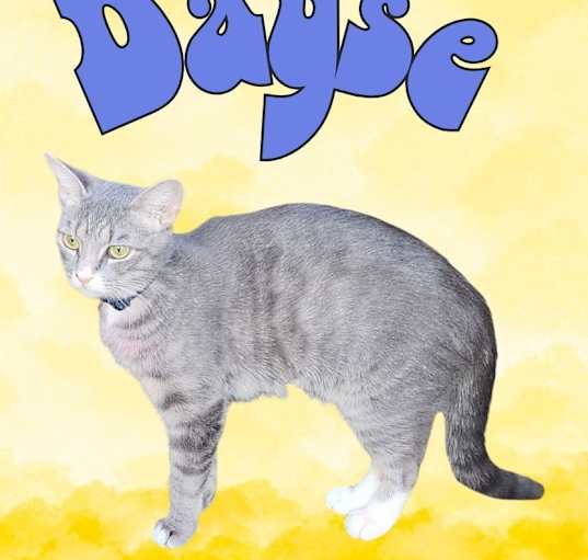 Photo of Dayse