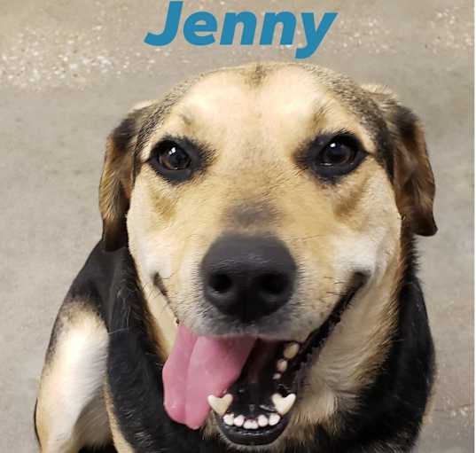 Photo of Jenny