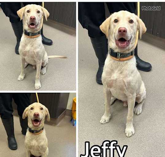 Photo of JEFFY