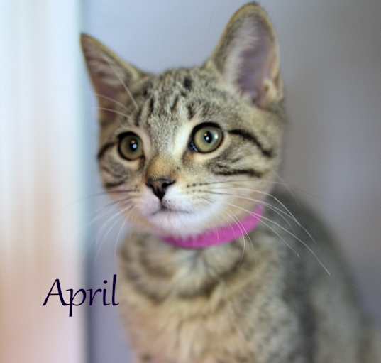 Photo of April