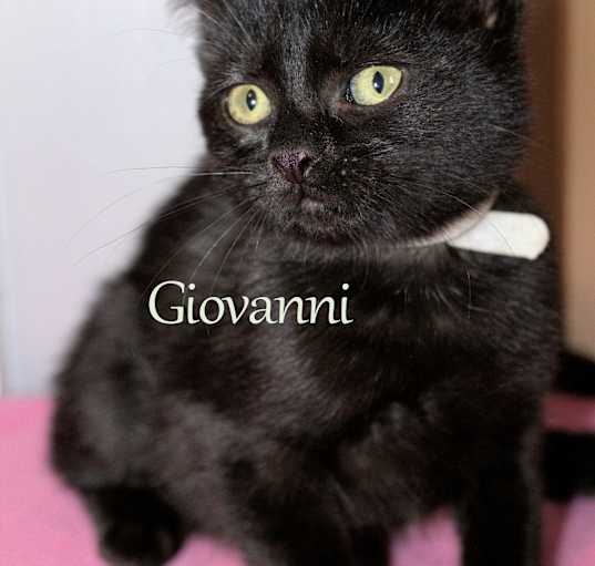 Photo of Giovanni