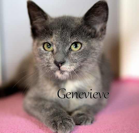 Photo of Genevieve