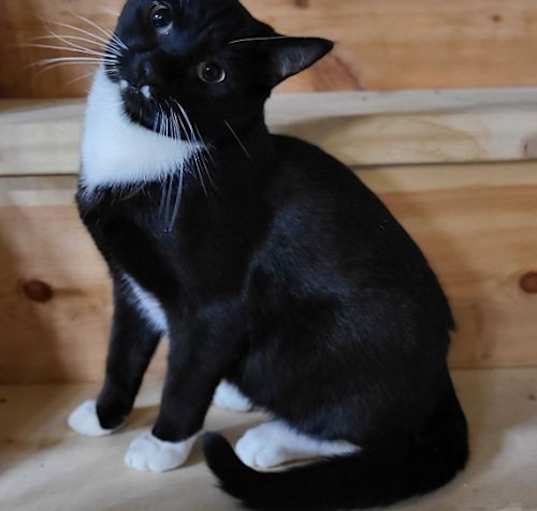 Photo of Eddie