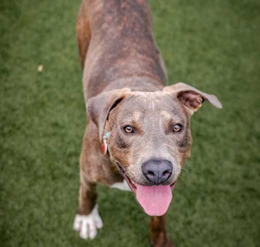 Photo of JERRY-A2157671