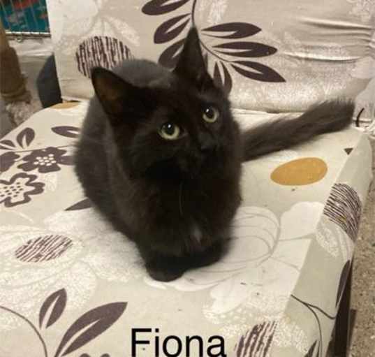 Photo of Fiona2