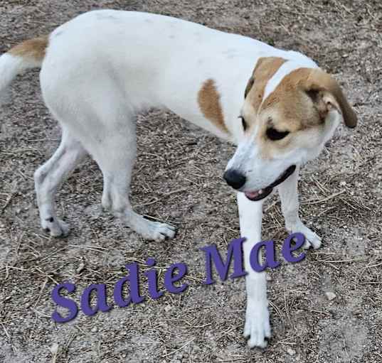 Photo of Sadie Mae