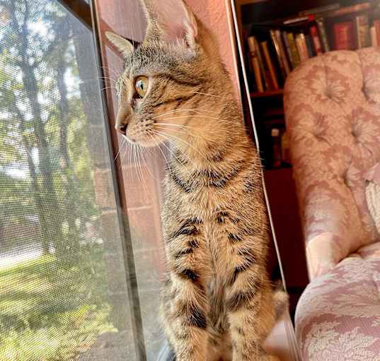 Photo of Hope