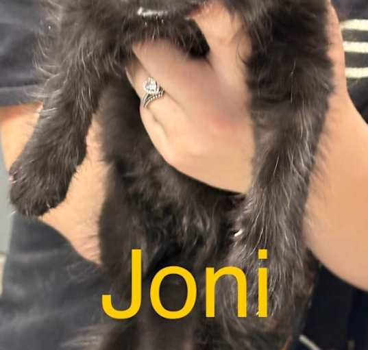 Photo of Joni