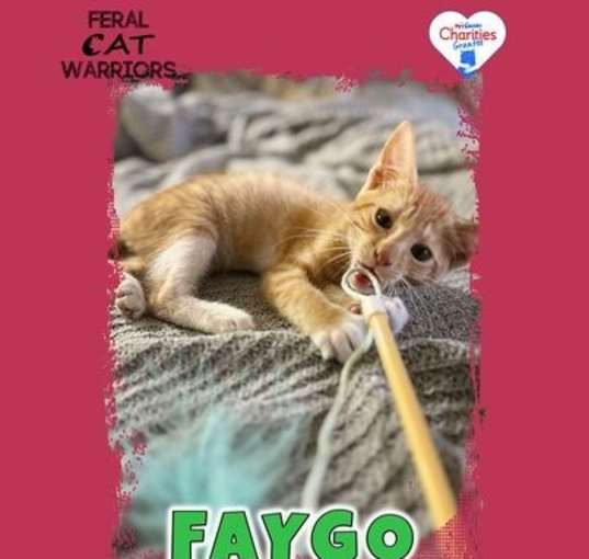 Photo of Faygo