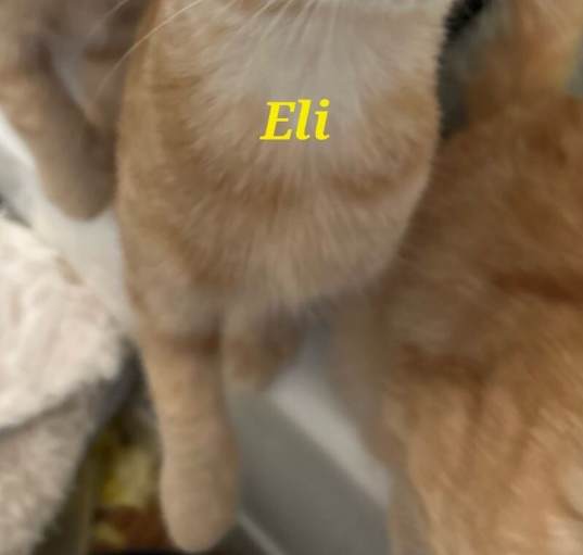 Photo of Eli