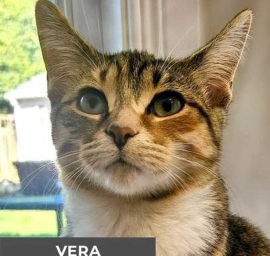 Photo of Vera