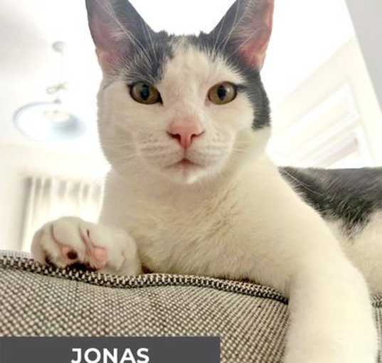 Photo of Jonas