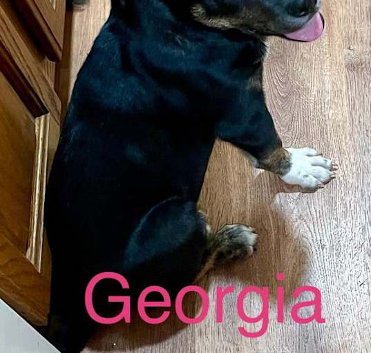 Photo of Georgia