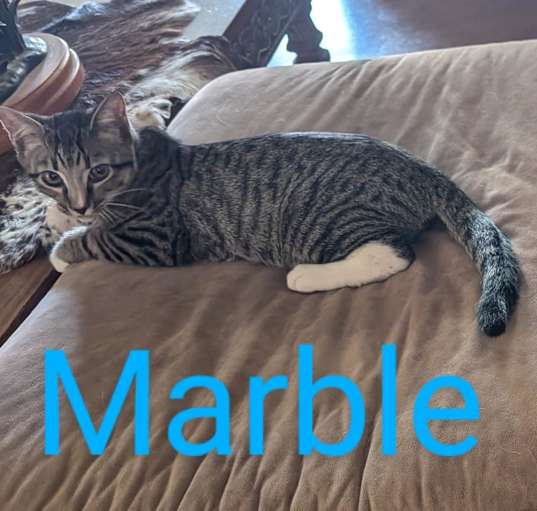 Photo of Marble