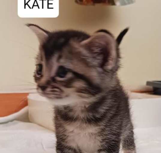 Photo of Kate