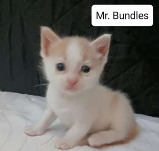 Photo of Mr. Bundles