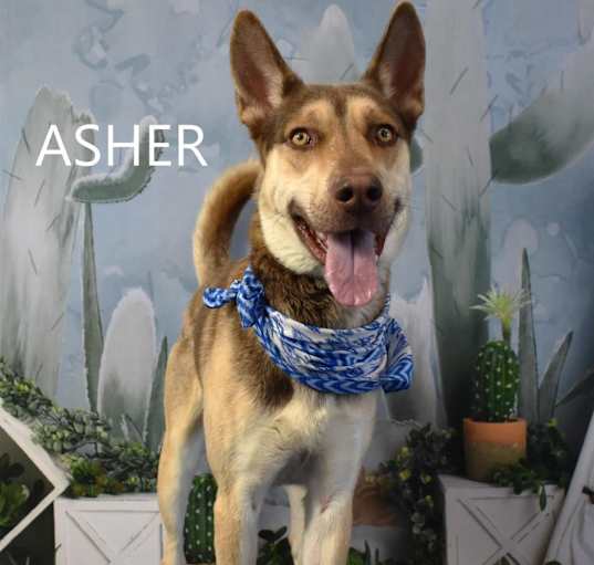 Photo of Asher