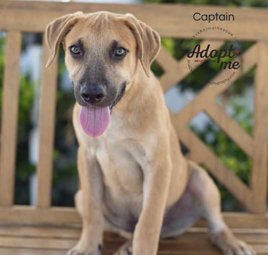 Photo of Captain