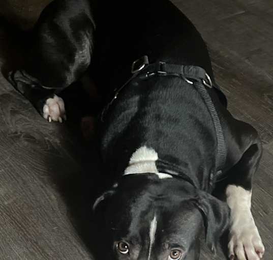 Photo of Tuck